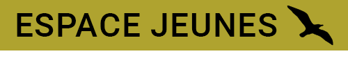 Espace Jeunes Goélands